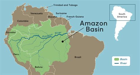 is there amazon in argentina.